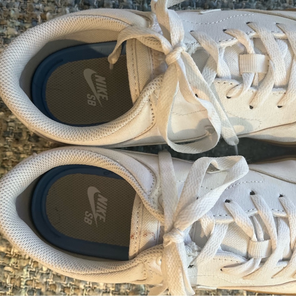 Men’s Nike SB shoes